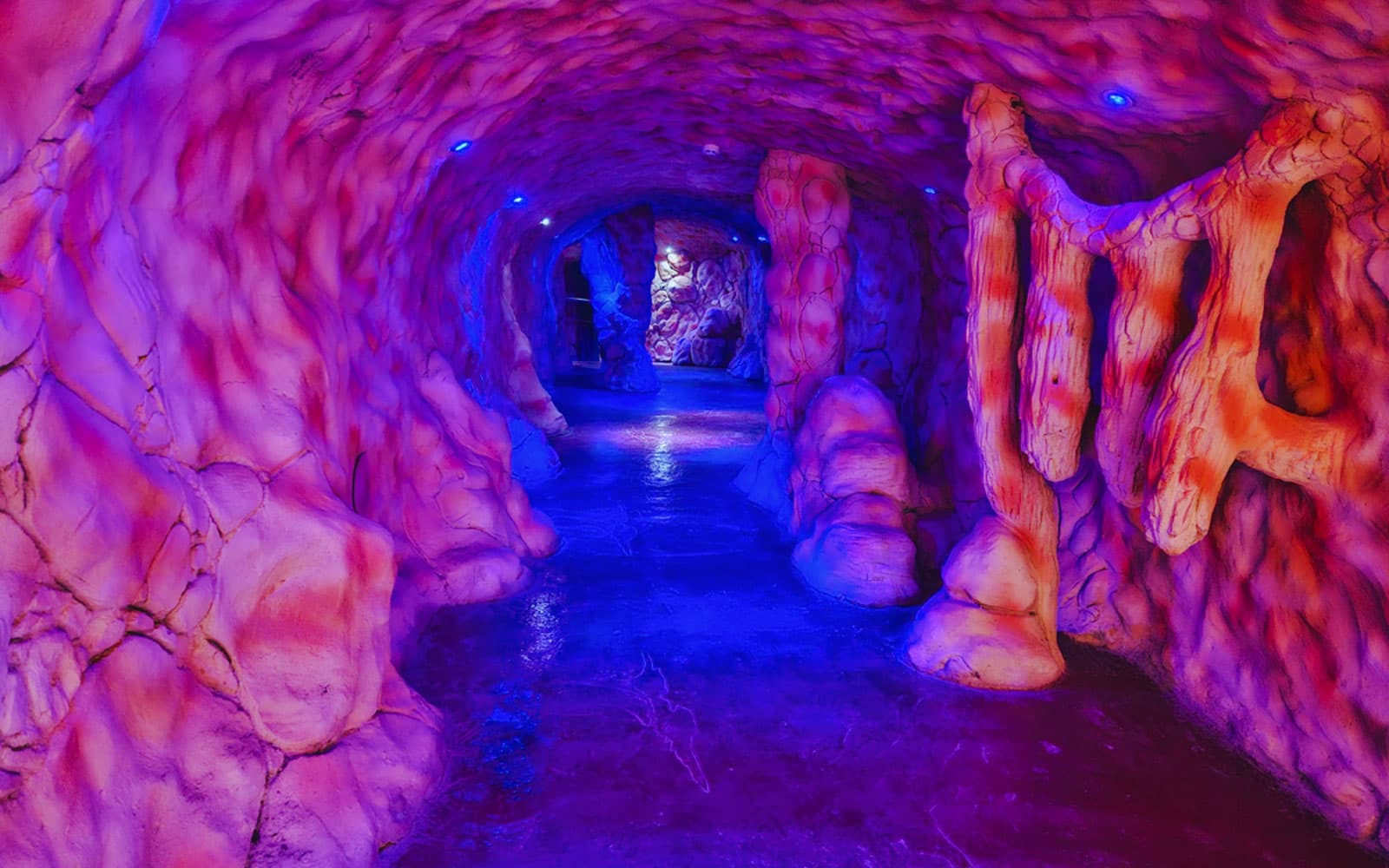 Hurghada Grand Aquarium Entry Tickets in Hurghada - Features | TickYourList