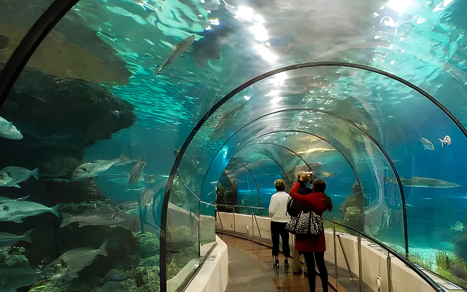 Hurghada Grand Aquarium & Zoo Tickets with Private Hotel Transfers in Hurghada - Attractions | TickYourList