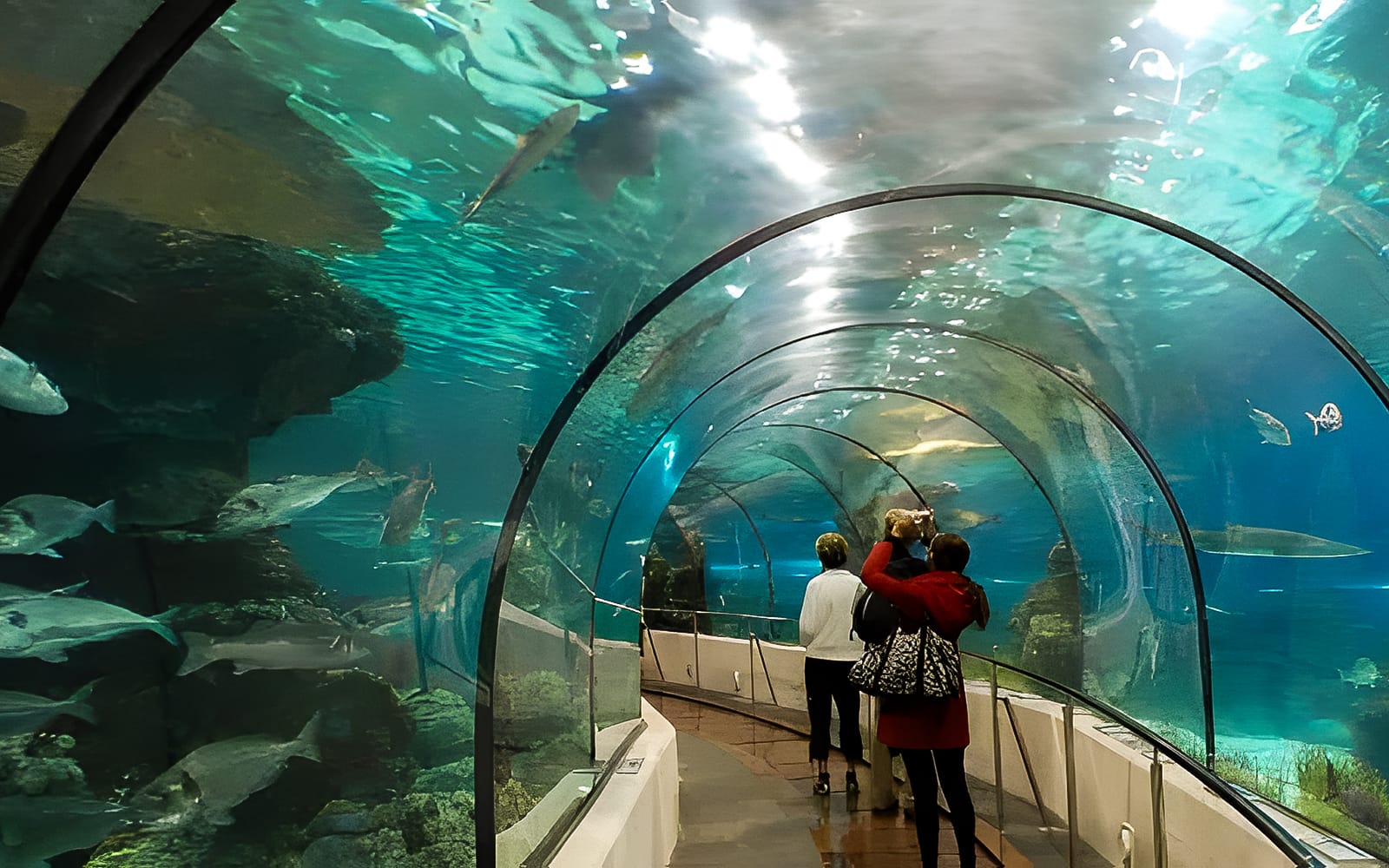Hurghada Grand Aquarium & Zoo Tickets with Private Hotel Transfers in Hurghada - Attractions | TickYourList