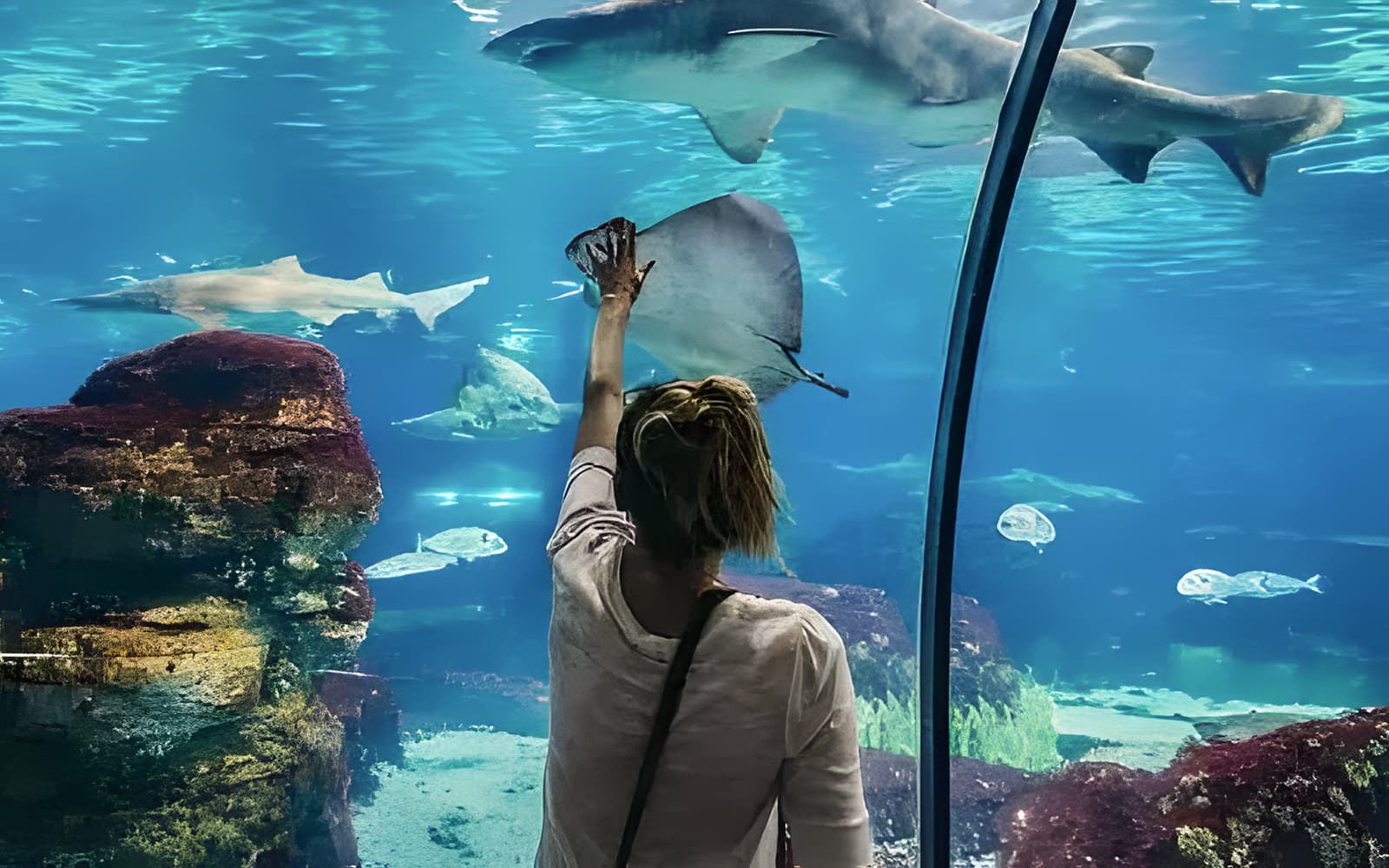 Hurghada Grand Aquarium & Zoo Tickets with Private Hotel Transfers in Hurghada - Activities | TickYourList