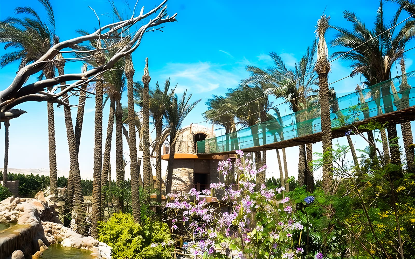 Hurghada Grand Aquarium & Zoo Tickets with Private Hotel Transfers in Hurghada - Highlights | TickYourList