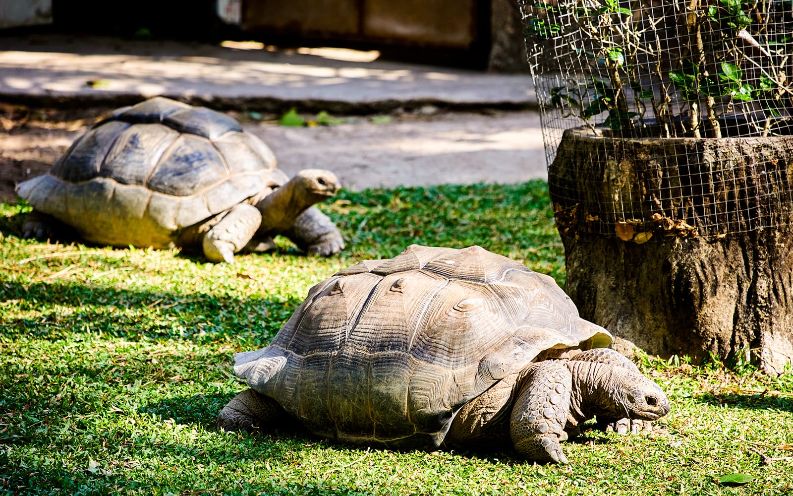 Hurghada Grand Aquarium & Zoo Tickets with Private Hotel Transfers in Hurghada - Features | TickYourList