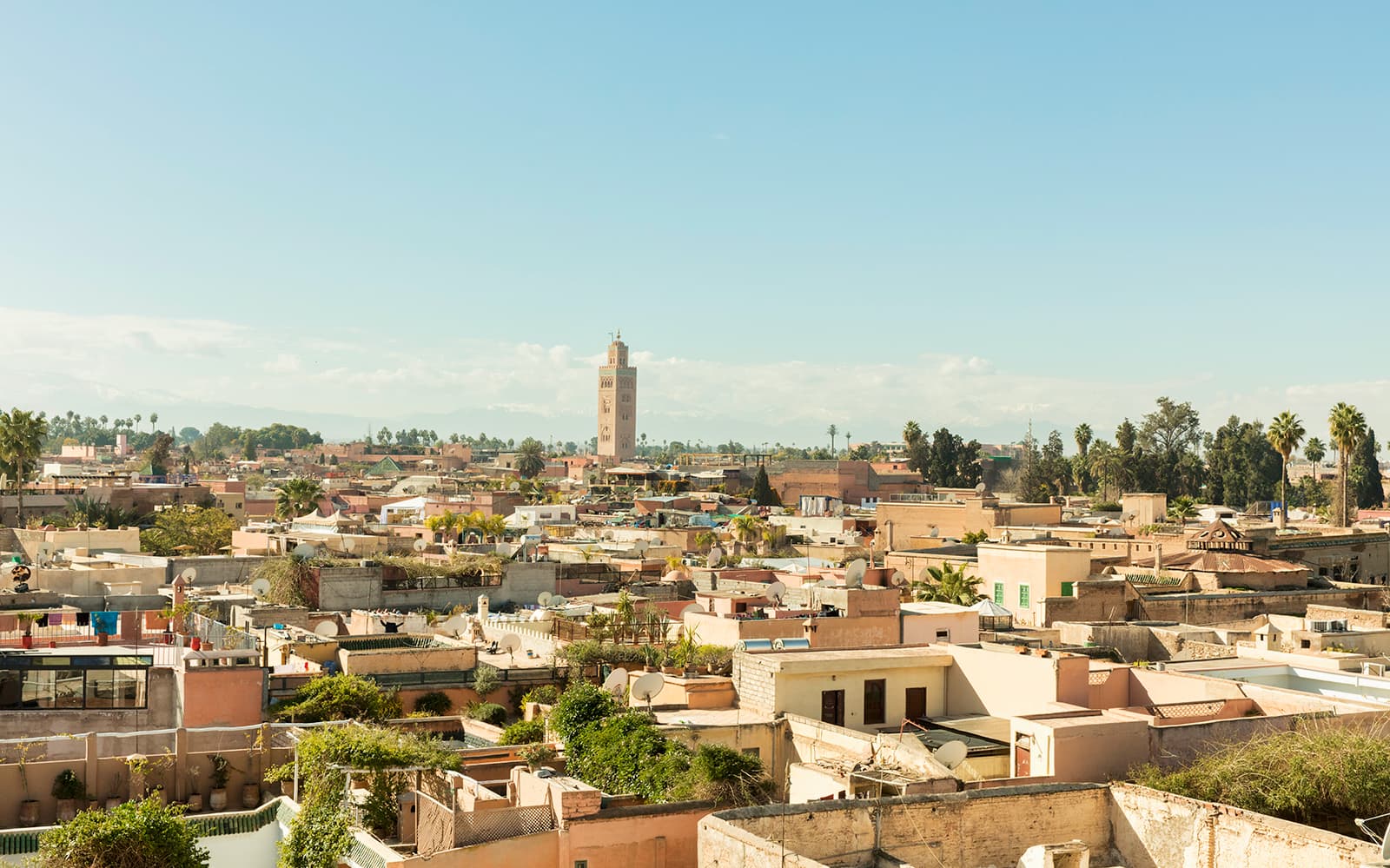 Marrakesh: Hop On Hop Off City Tour + Ride in Palm Grove tickets in Marrakesh - Highlights | TickYourList
