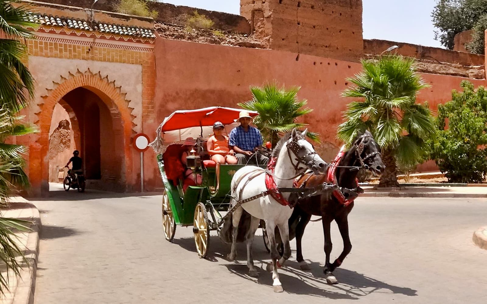 Marrakesh's Majorelle & Menara Gardens by Carriage