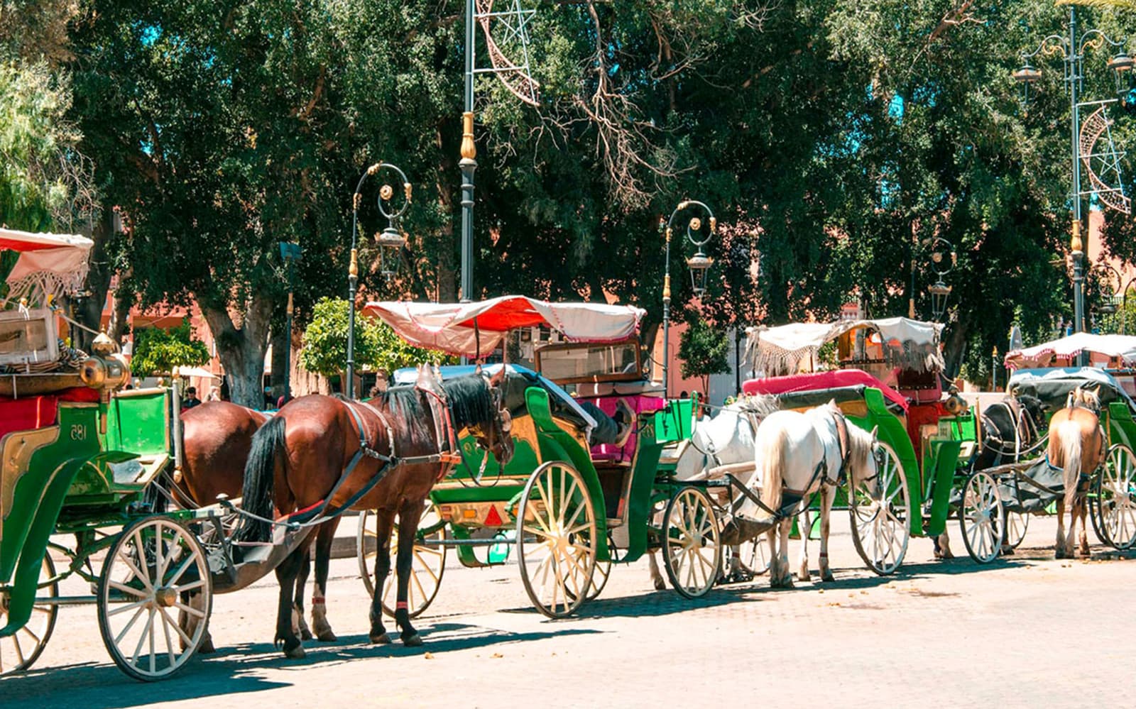 Marrakesh's Majorelle & Menara Gardens by Carriage tickets in Marrakesh - Activities | TickYourList