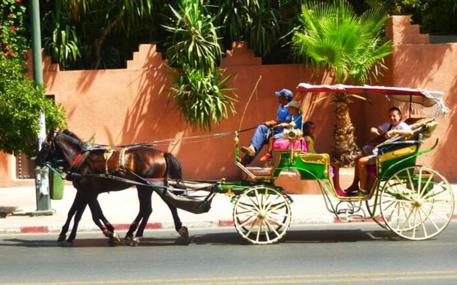 Marrakesh's Majorelle & Menara Gardens by Carriage tickets in Marrakesh - Highlights | TickYourList