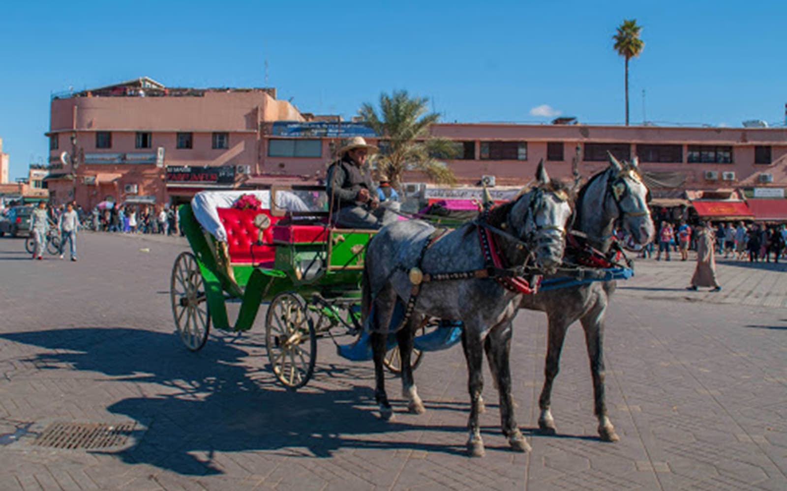 Marrakesh's Majorelle & Menara Gardens by Carriage tickets in Marrakesh - Features | TickYourList