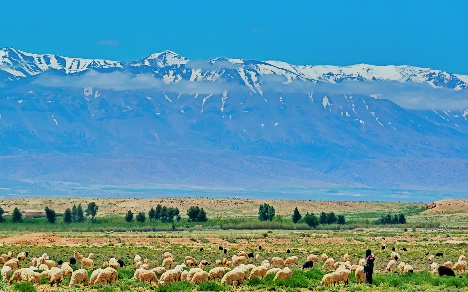 Day Tour: Marrakesh to Ourika
