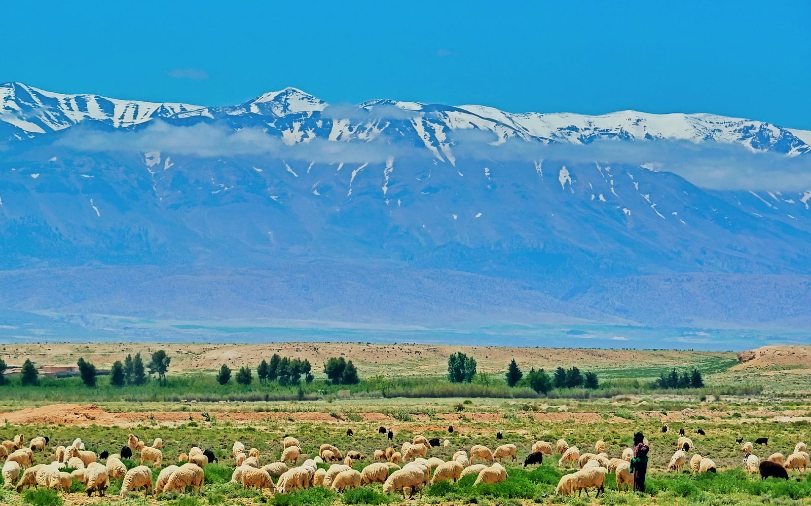 listing card gallery - Image 1 of 1