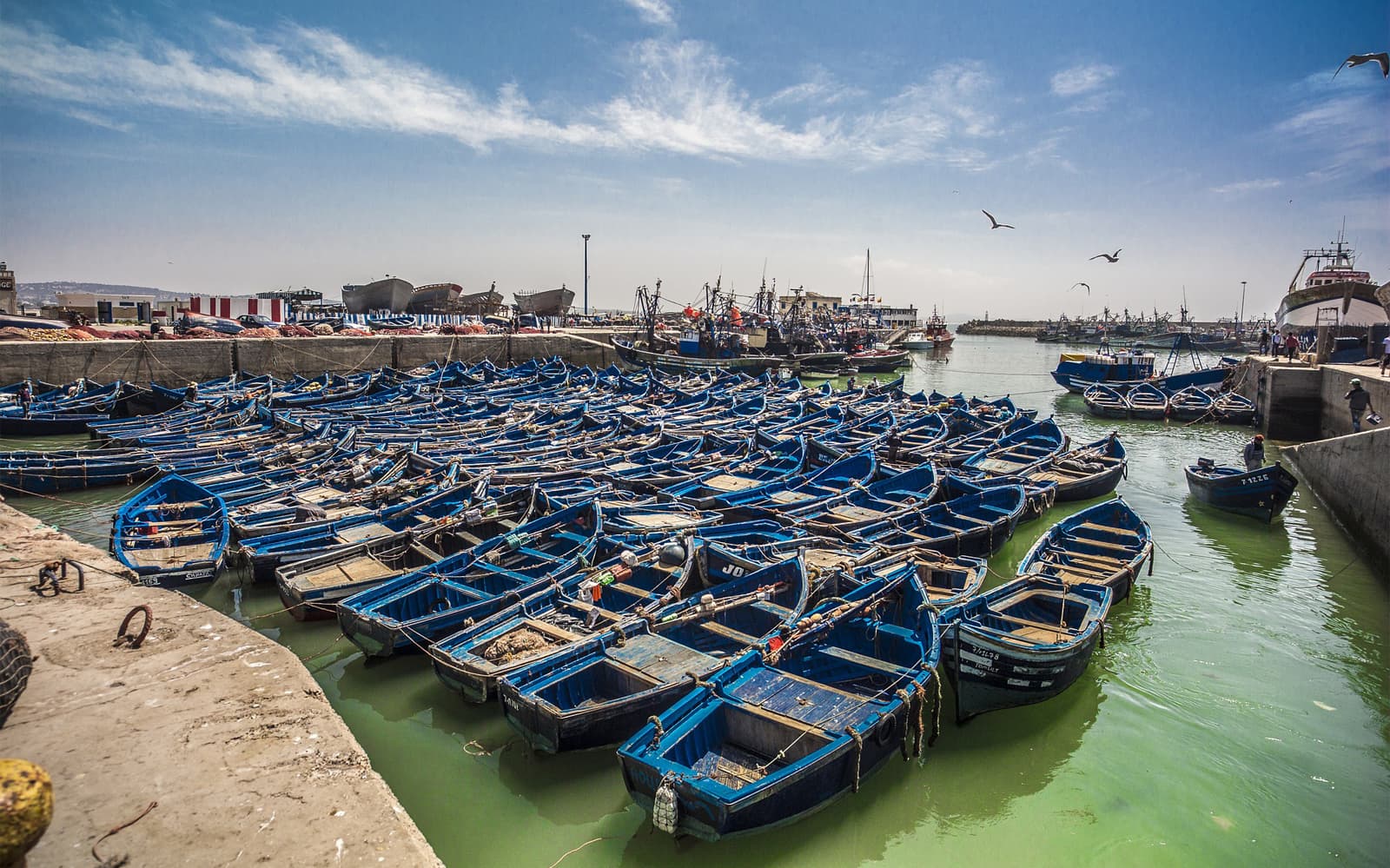 Day Tour: Marrakesh to Essaouria