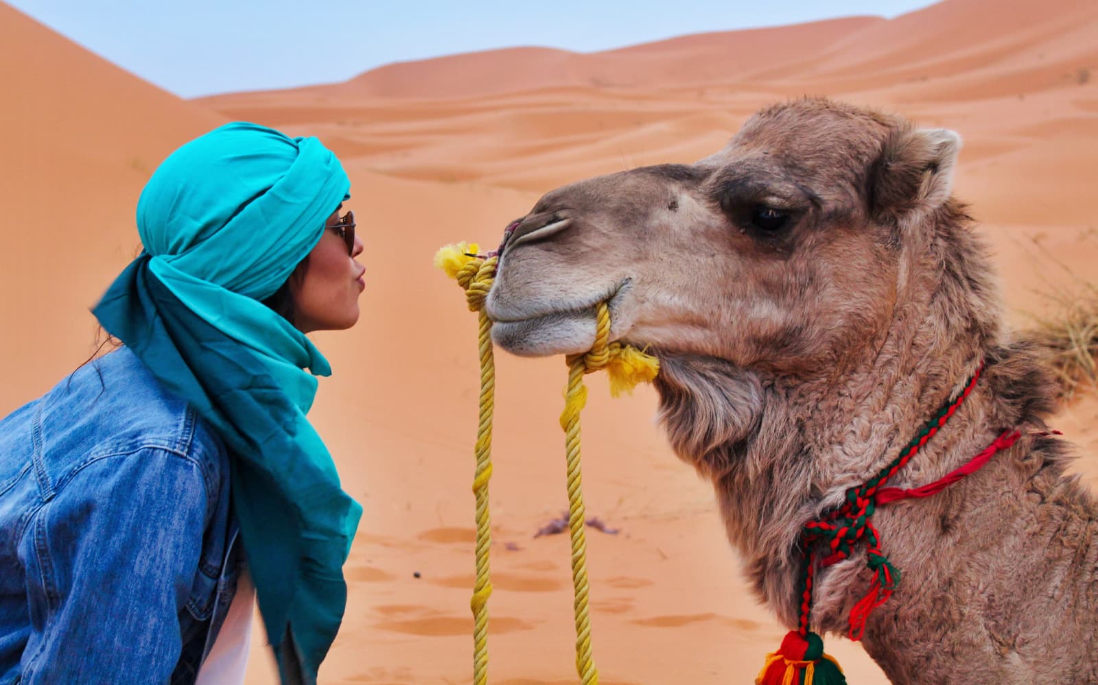 Private Camel Ride Agafay Desert Tour with Lunch tickets in Marrakesh - Attractions | TickYourList