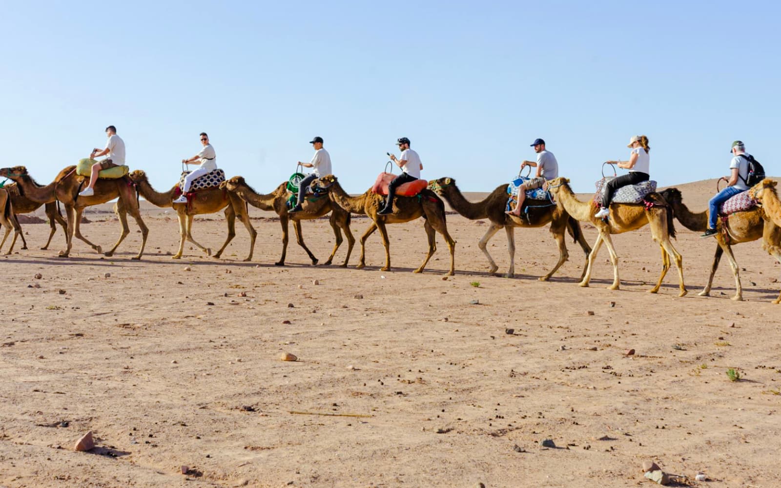 Agafay Desert Day Experience with Pool Access & Moroccan Cuisine