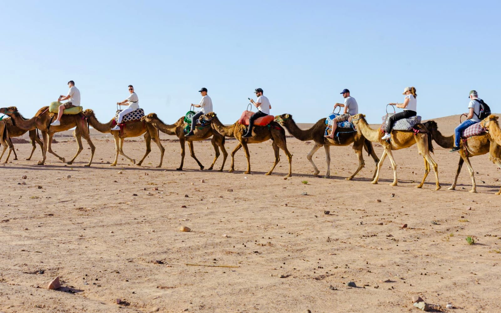 Agafay Desert Day Experience with Pool Access & Moroccan Cuisine tickets in Marrakesh | TickYourList
