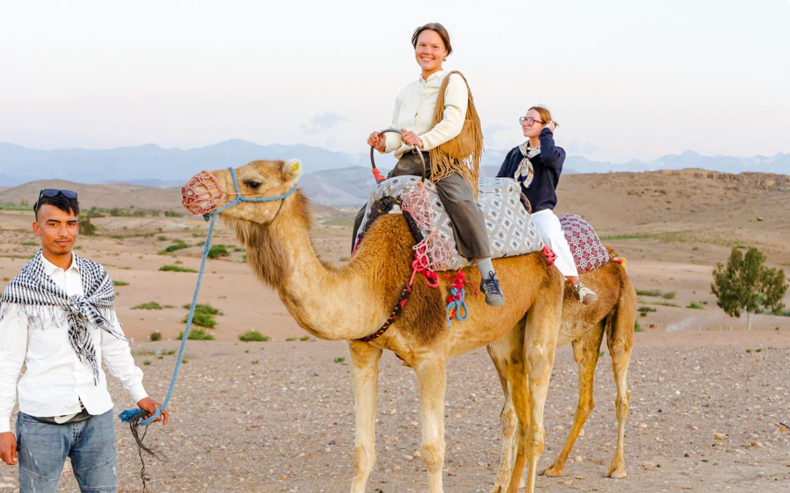 Sunset Desert Tour with Camel Safari, Dinner Show & Transfers