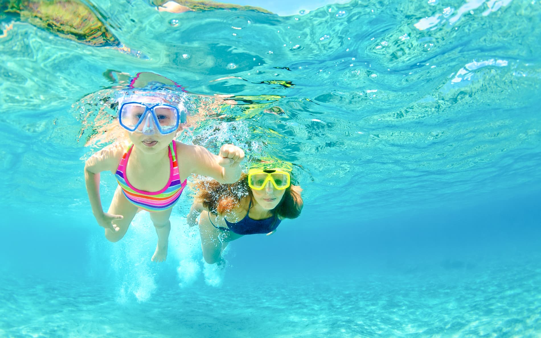 From Sharm El-Sheikh: Diving at Ras Mohamed & White Island with Round-Trip Hotel Transfers tickets in Sharm el-Sheikh - Activities | TickYourList