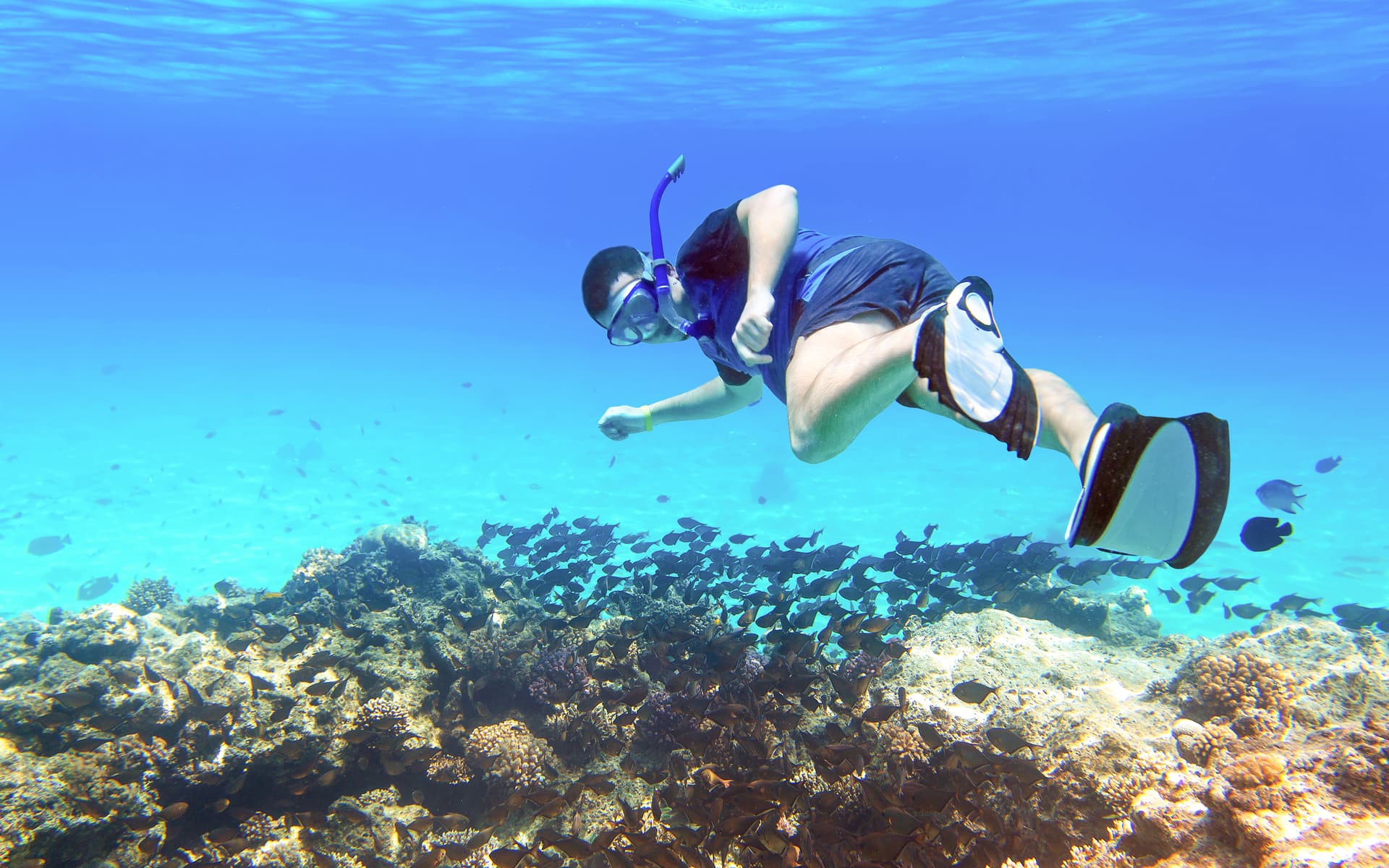 Private Ras Mohamed & White Island Diving & Snorkeling Cruise with BBQ Lunch tickets in Sharm el-Sheikh - Features | TickYourList