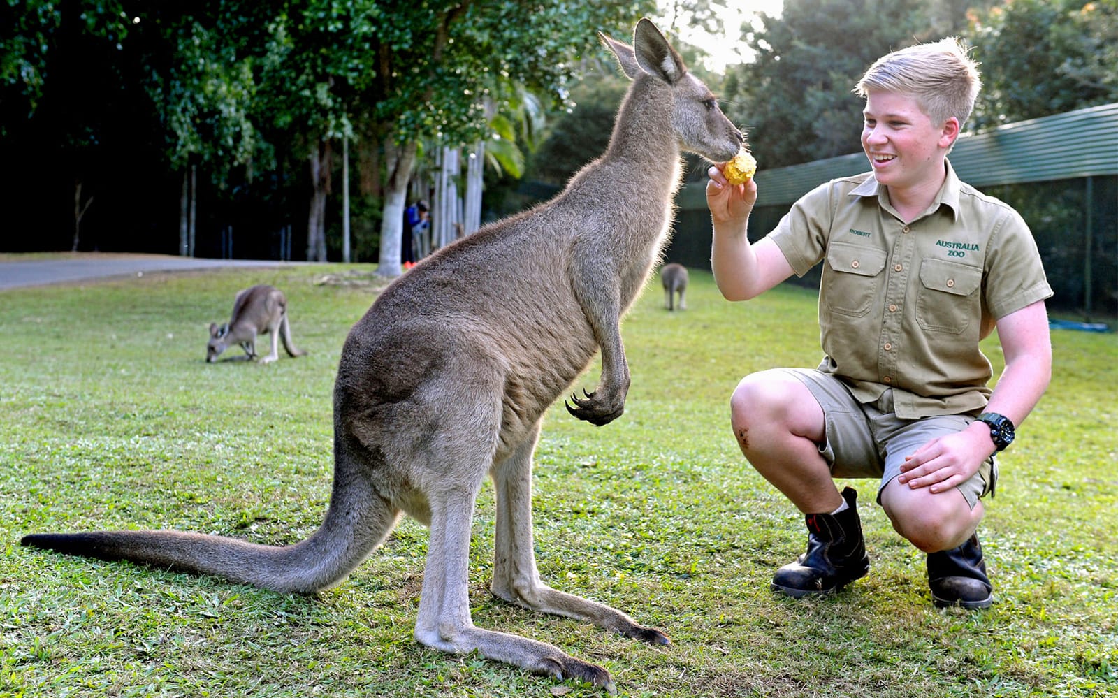 Australia Zoo Tickets: Admission Only in Brisbane - Activities | TickYourList