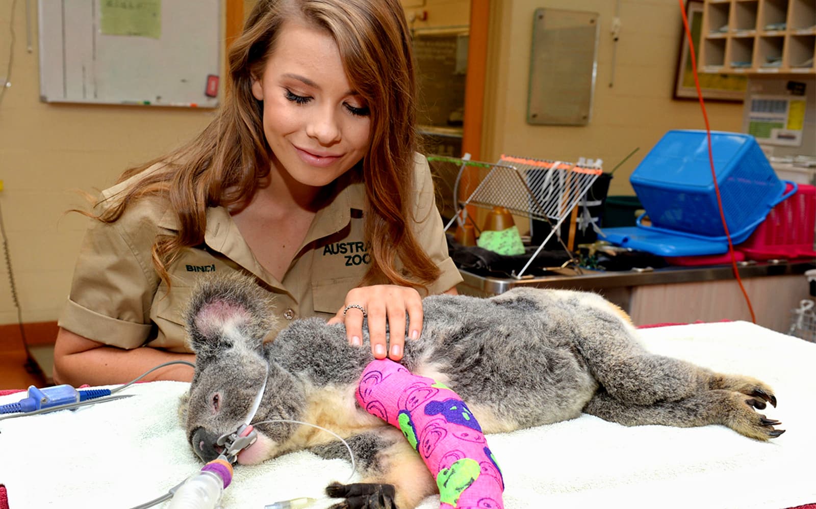 Australia Zoo Tickets: Admission Only in Brisbane - Highlights | TickYourList
