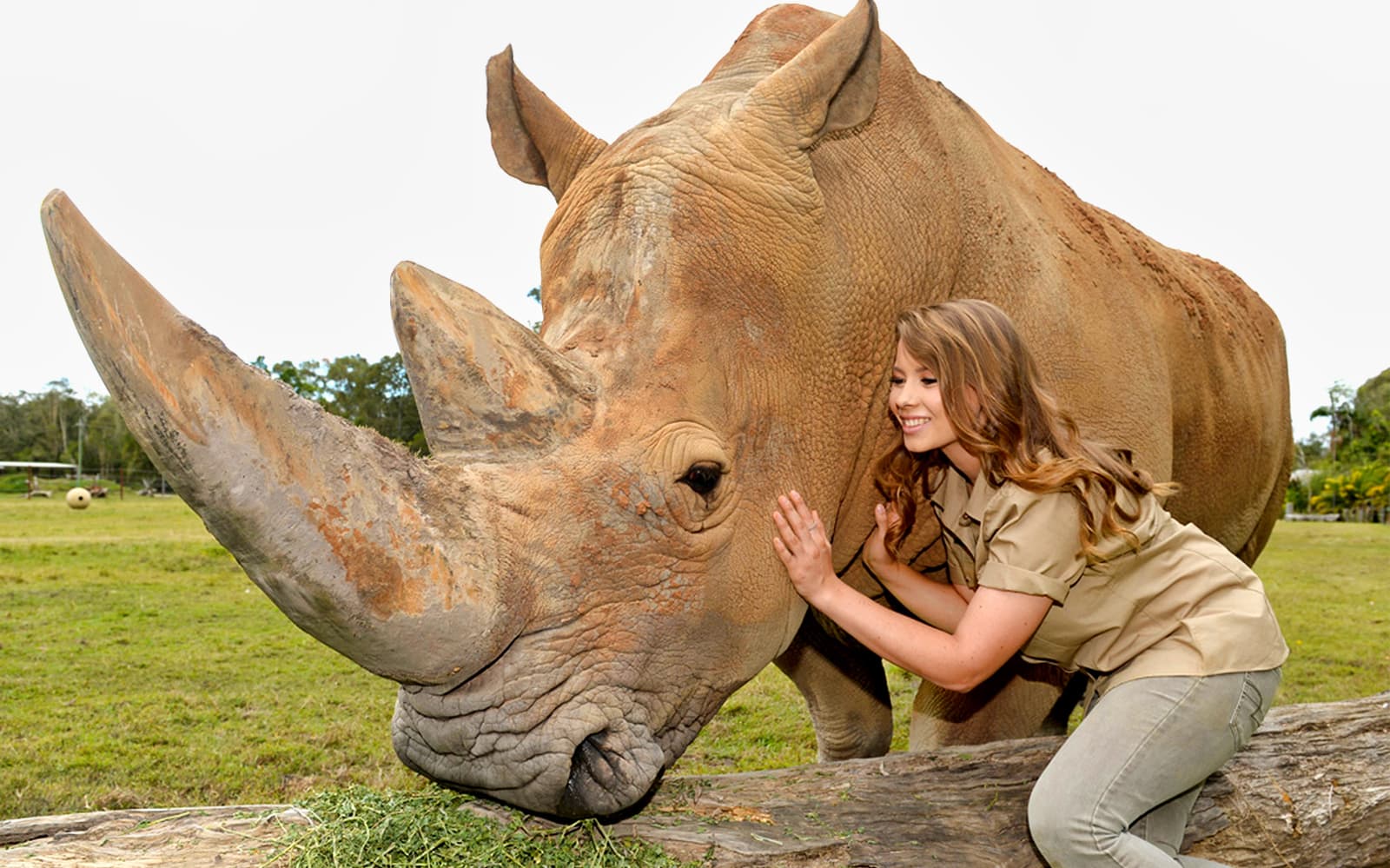 Australia Zoo Tickets: Admission Only in Brisbane - Features | TickYourList
