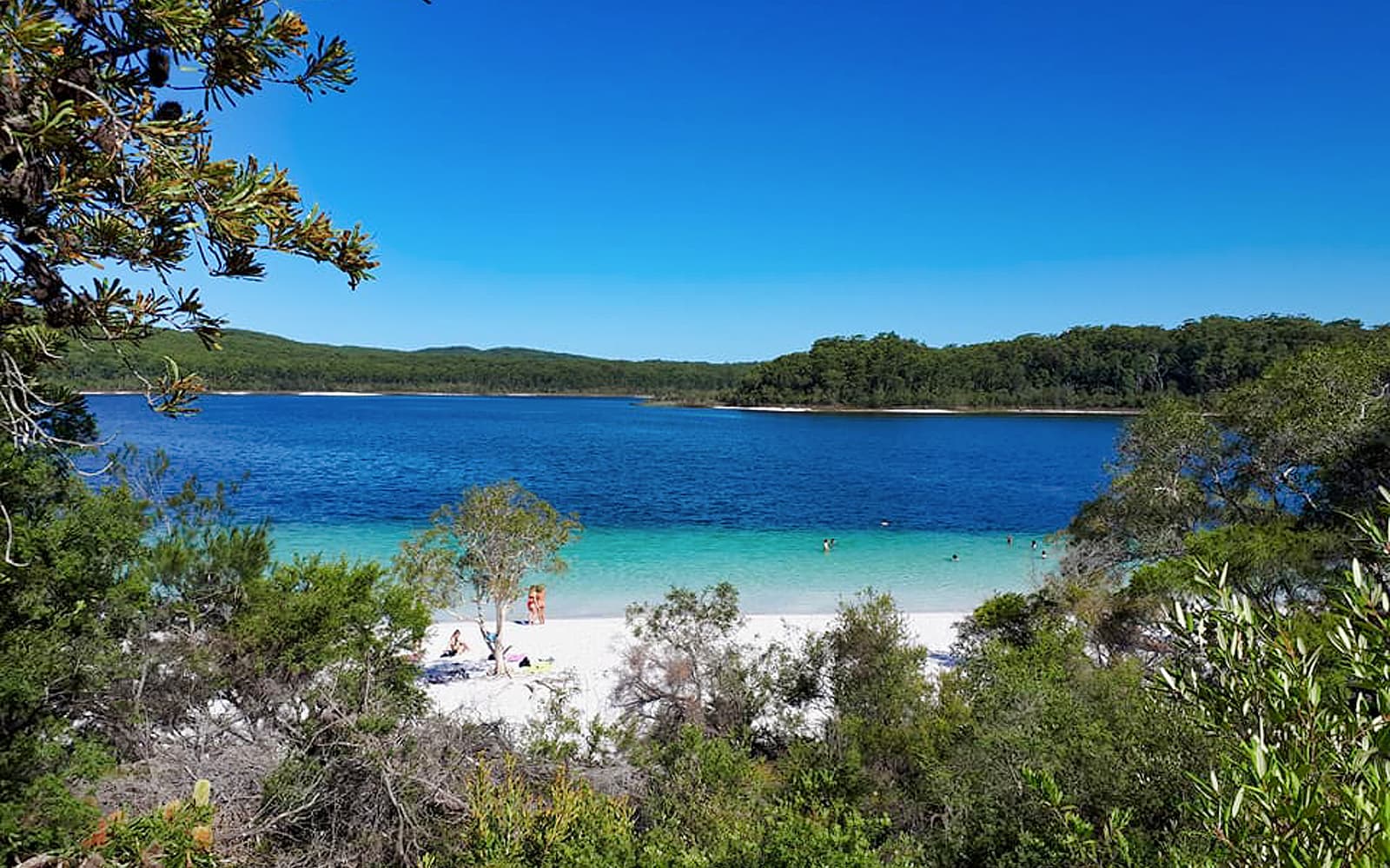 Fraser Island Exclusive 4WD Day Tour tickets in Brisbane - Explore More | TickYourList