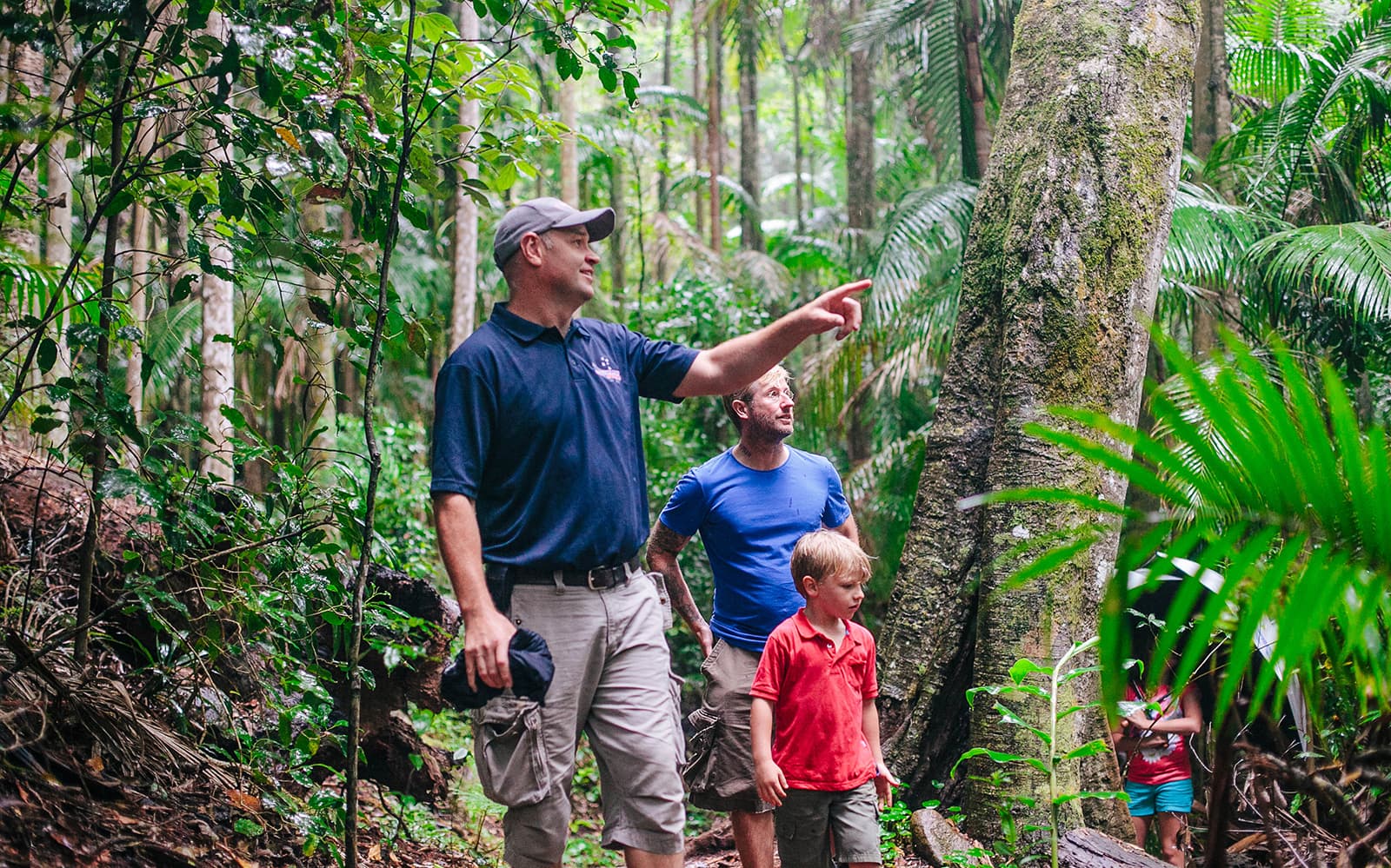 Mount Tamborine Morning Tour