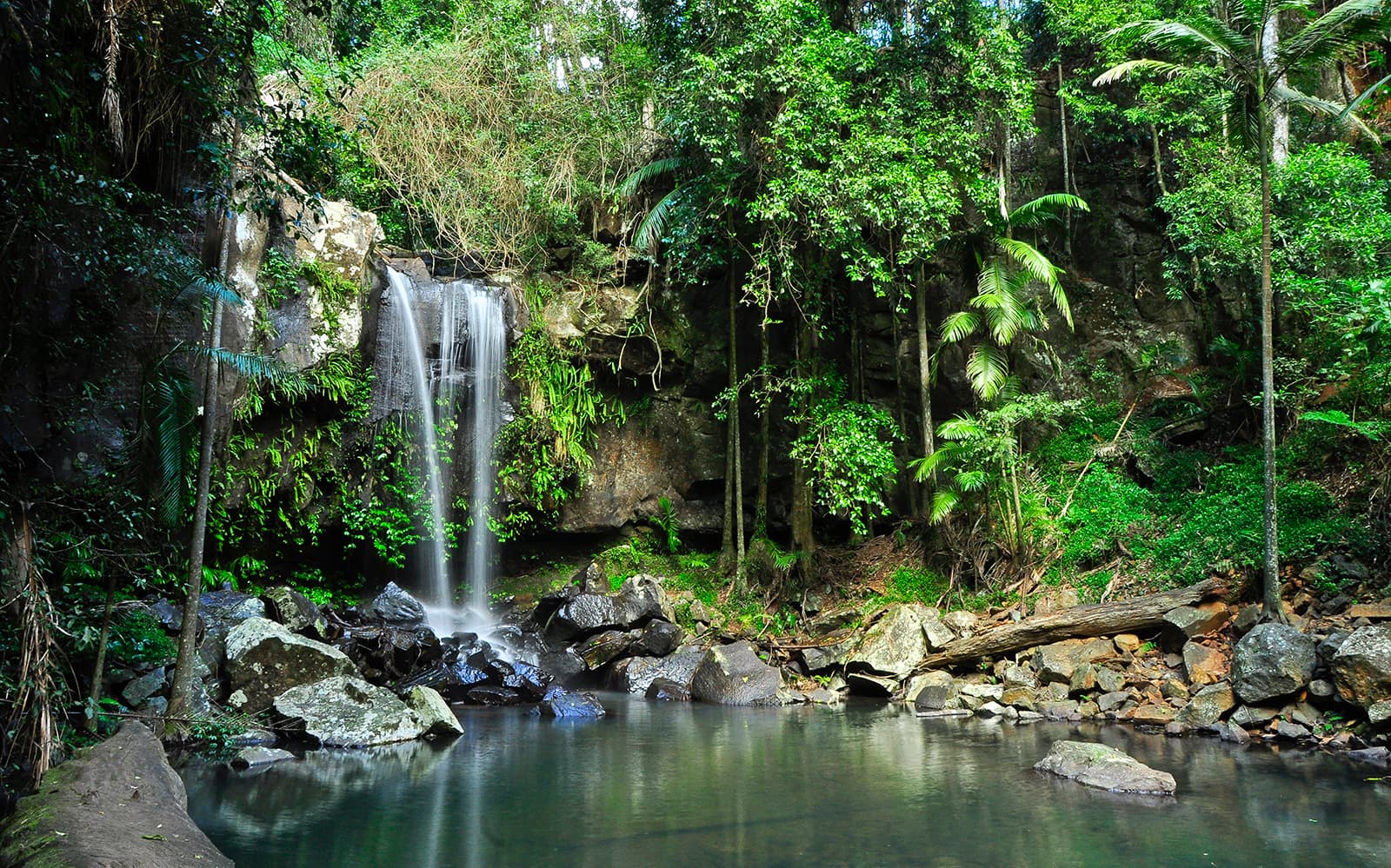 Mount Tamborine Morning Tour tickets in Brisbane - Activities | TickYourList