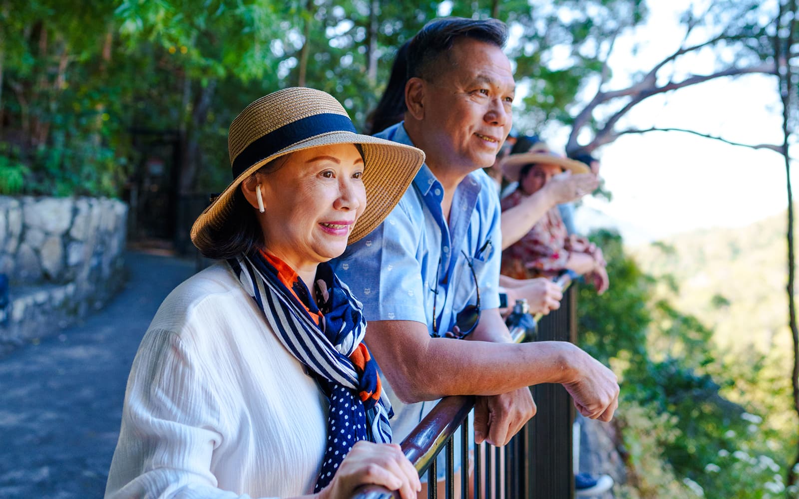Natural Bridge & Springbrook Waterfalls Tour experience tickets in Brisbane | TickYourList