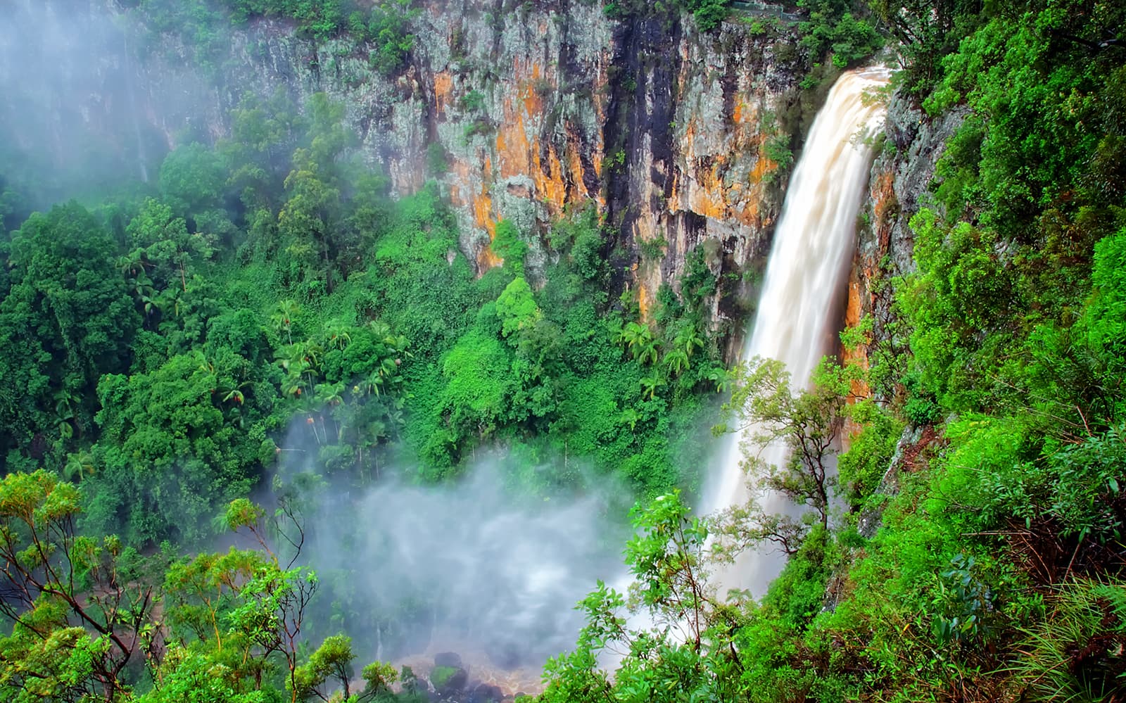 Natural Bridge & Springbrook Waterfalls Tour tickets in Brisbane - Attractions | TickYourList