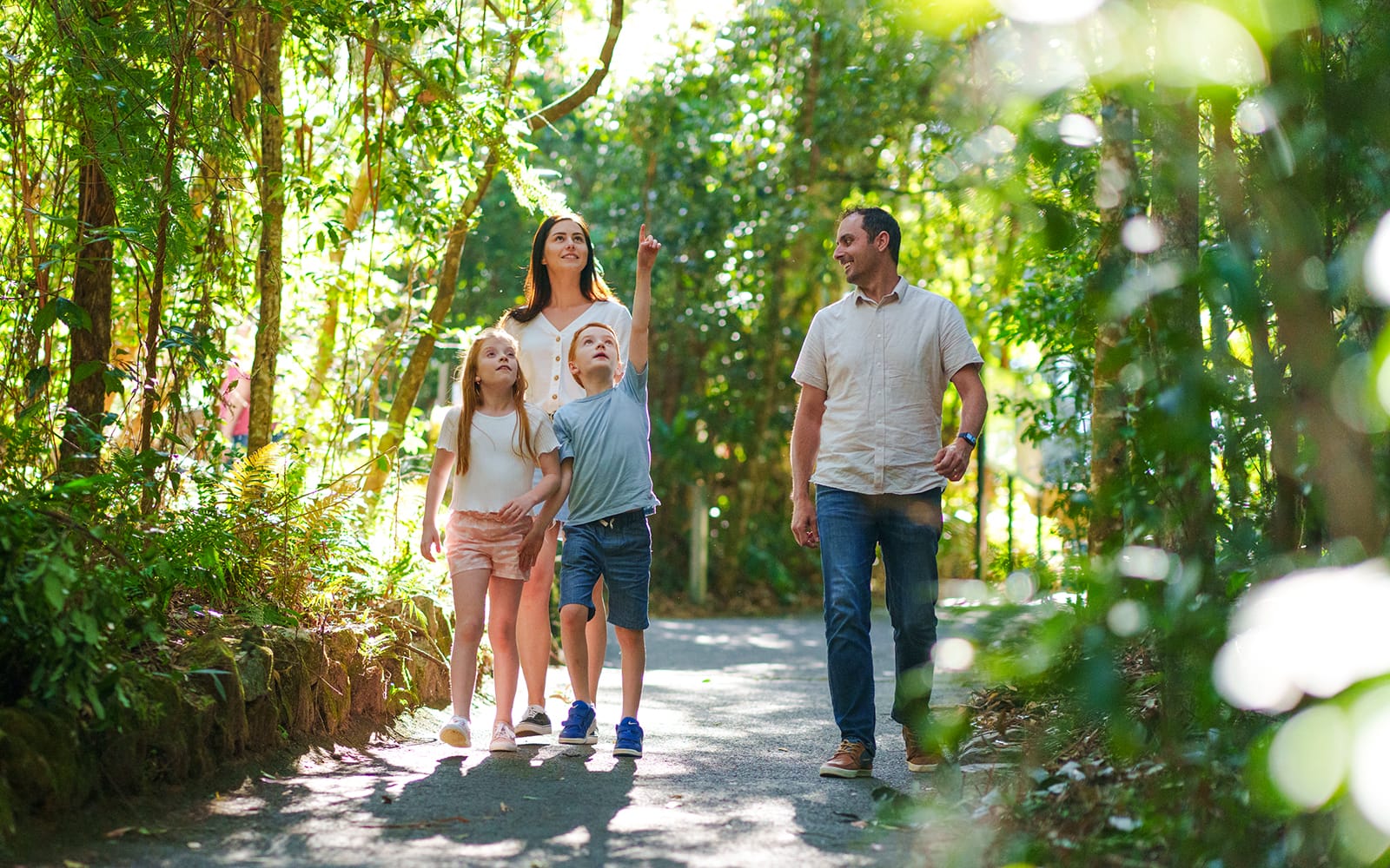 Natural Bridge & Springbrook Waterfalls Tour tickets in Brisbane - Activities | TickYourList