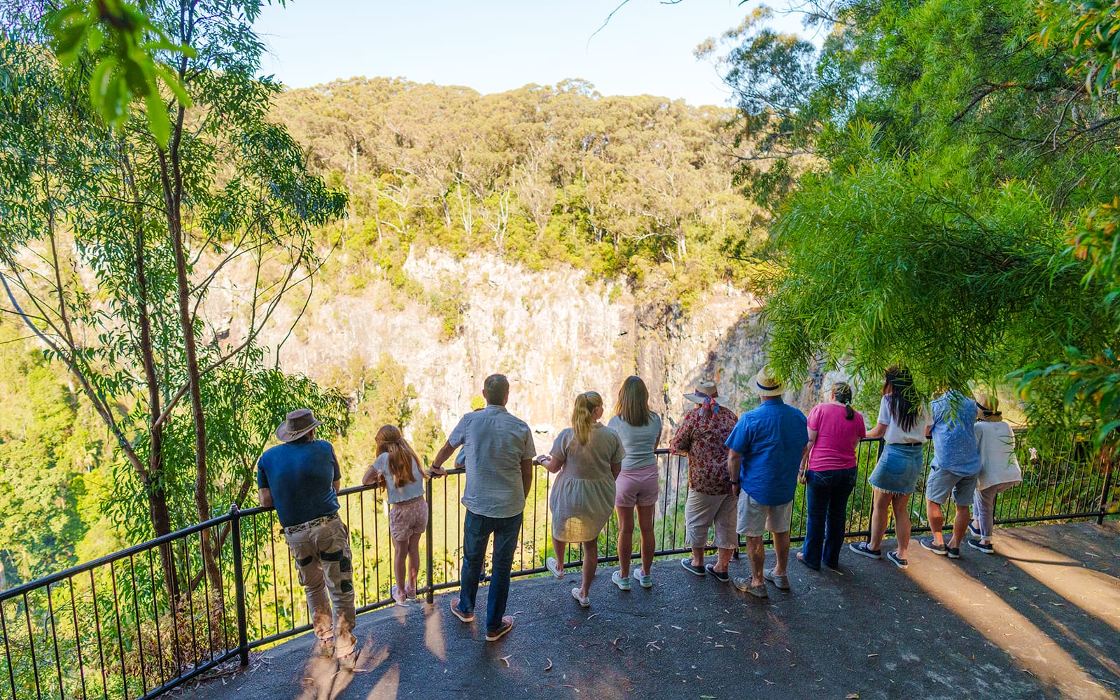 Natural Bridge & Springbrook Waterfalls Tour tickets in Brisbane - Highlights | TickYourList