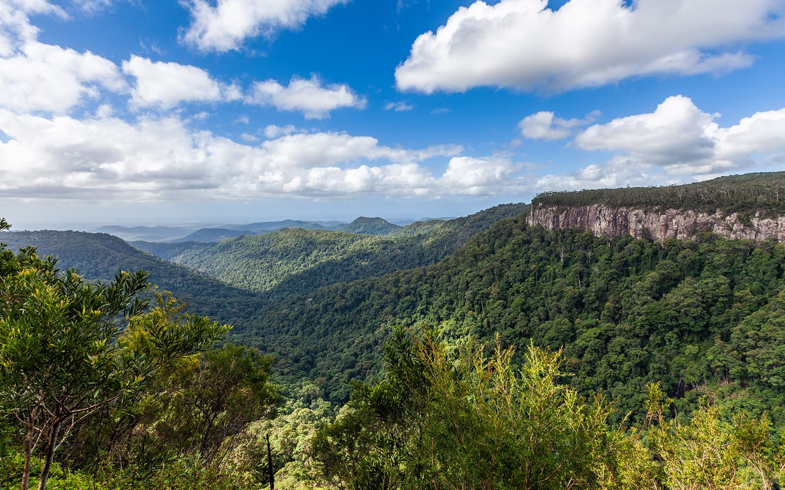 Natural Bridge & Springbrook Waterfalls Tour tickets in Brisbane - Features | TickYourList