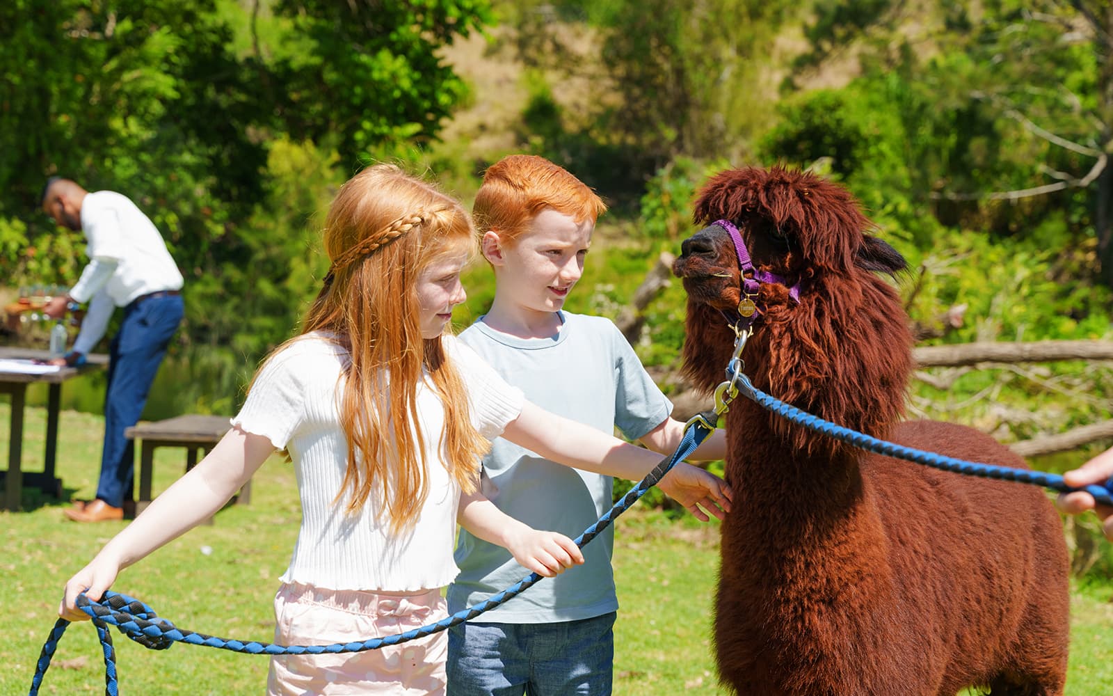 Lamington National Park, O’Reilly’s Rainforest Retreat & Vineyard Tour