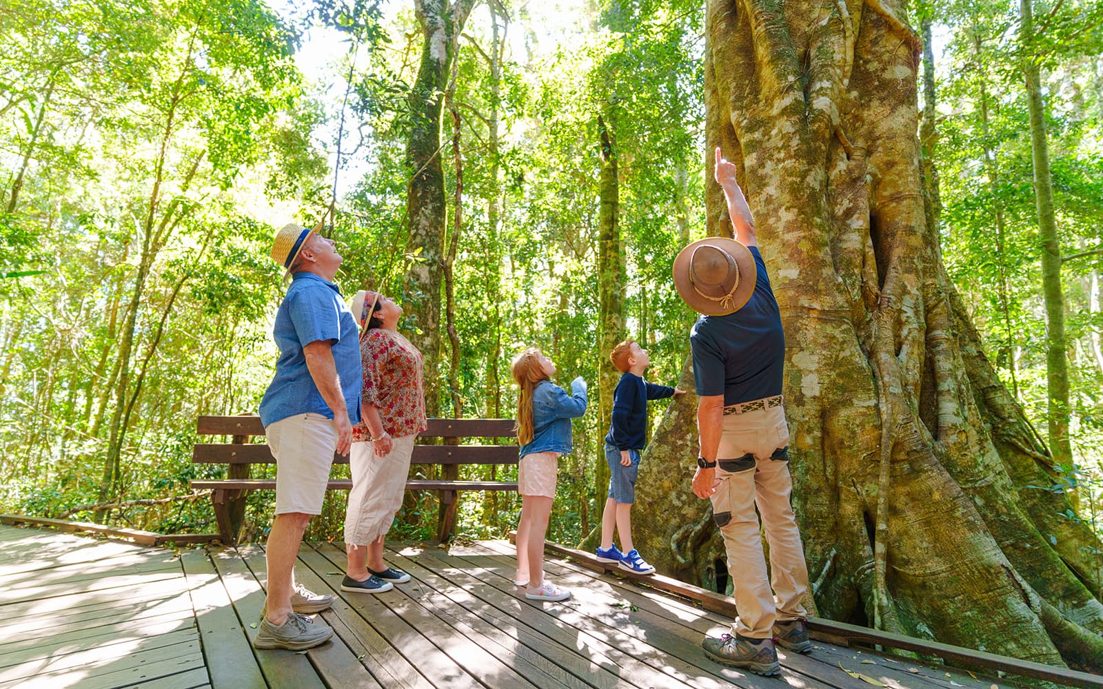 Lamington National Park, O’Reilly’s Rainforest Retreat & Vineyard Tour tickets in Brisbane - Highlights | TickYourList