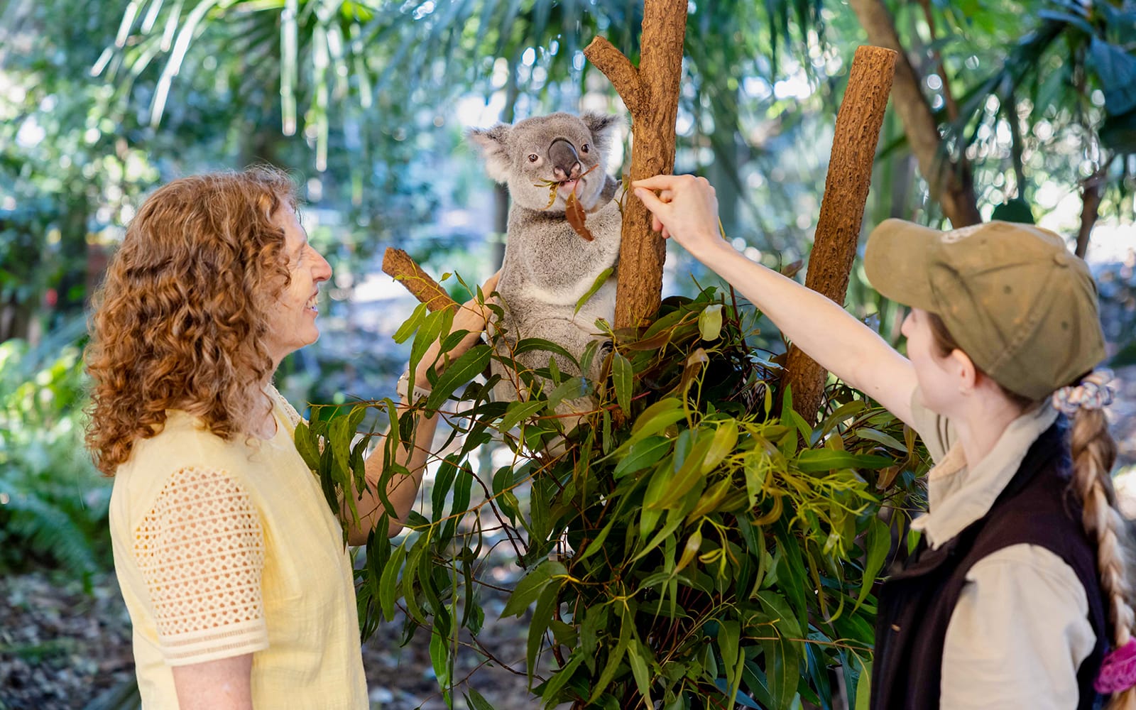 Lone Pine Koala Sanctuary Tickets with Brisbane River Cruise in Brisbane - Activities | TickYourList