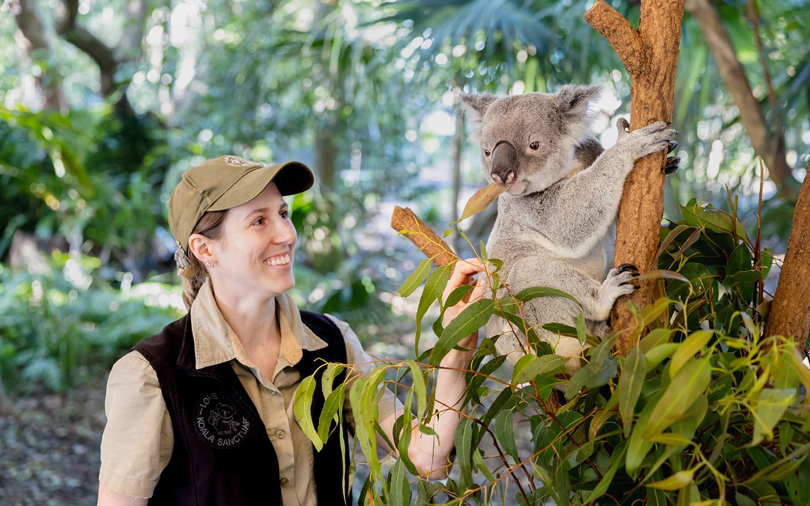 Lone Pine Koala Sanctuary Tickets with Brisbane River Cruise in Brisbane - Features | TickYourList