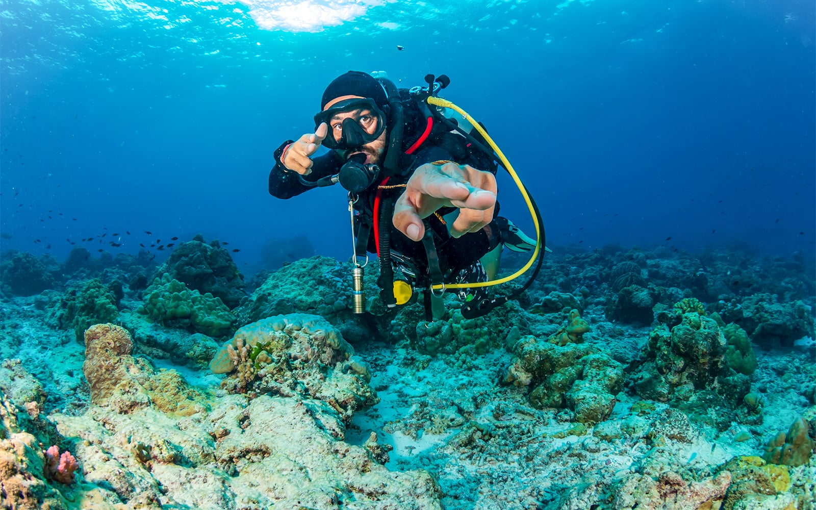 listing card gallery - Image 1 of 10