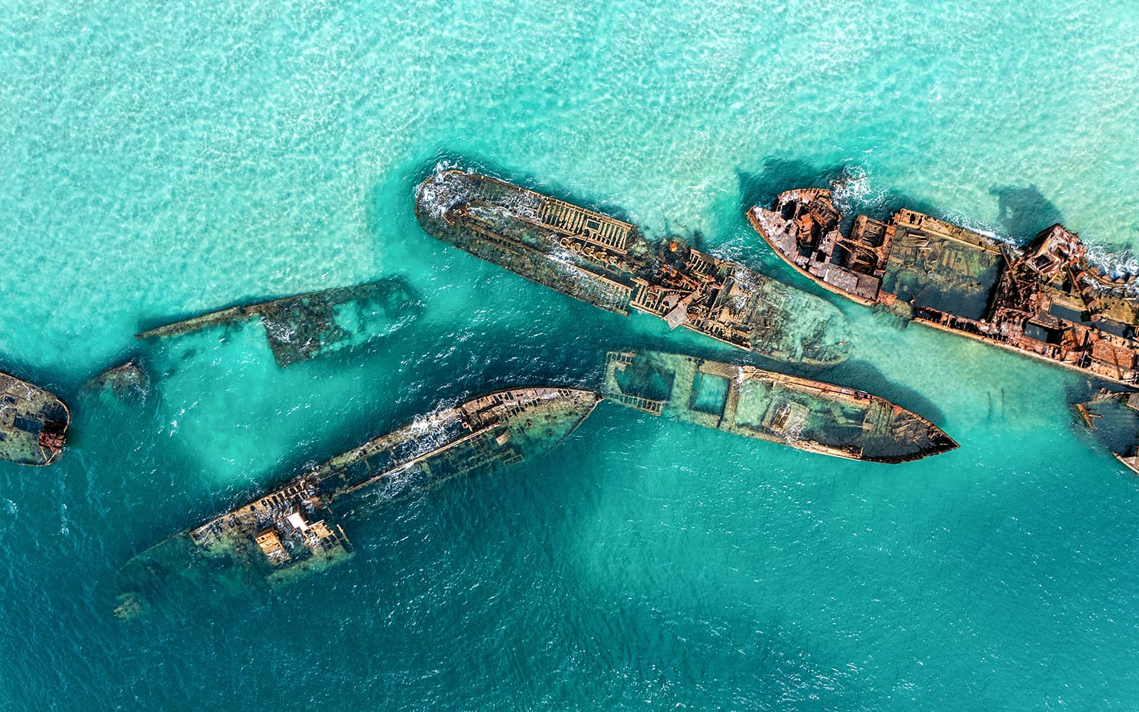 Moreton Island: Tangalooma Scuba Diving Tour tickets in Brisbane - Attractions | TickYourList