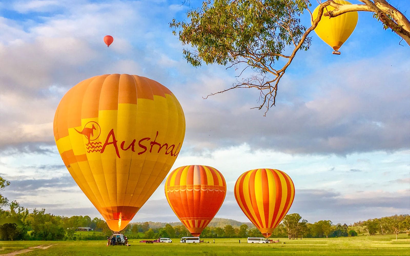 Tickets for Brisbane Classic Ballooning & Vineyard Champagne Breakfast in Brisbane - Features | TickYourList
