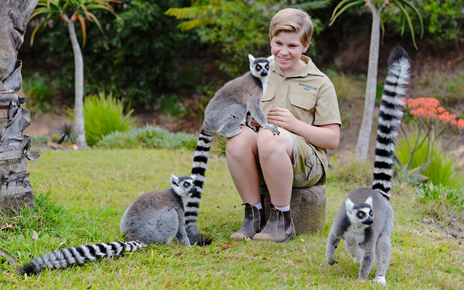 From Brisbane: Australia Zoo Tickets with Transfers