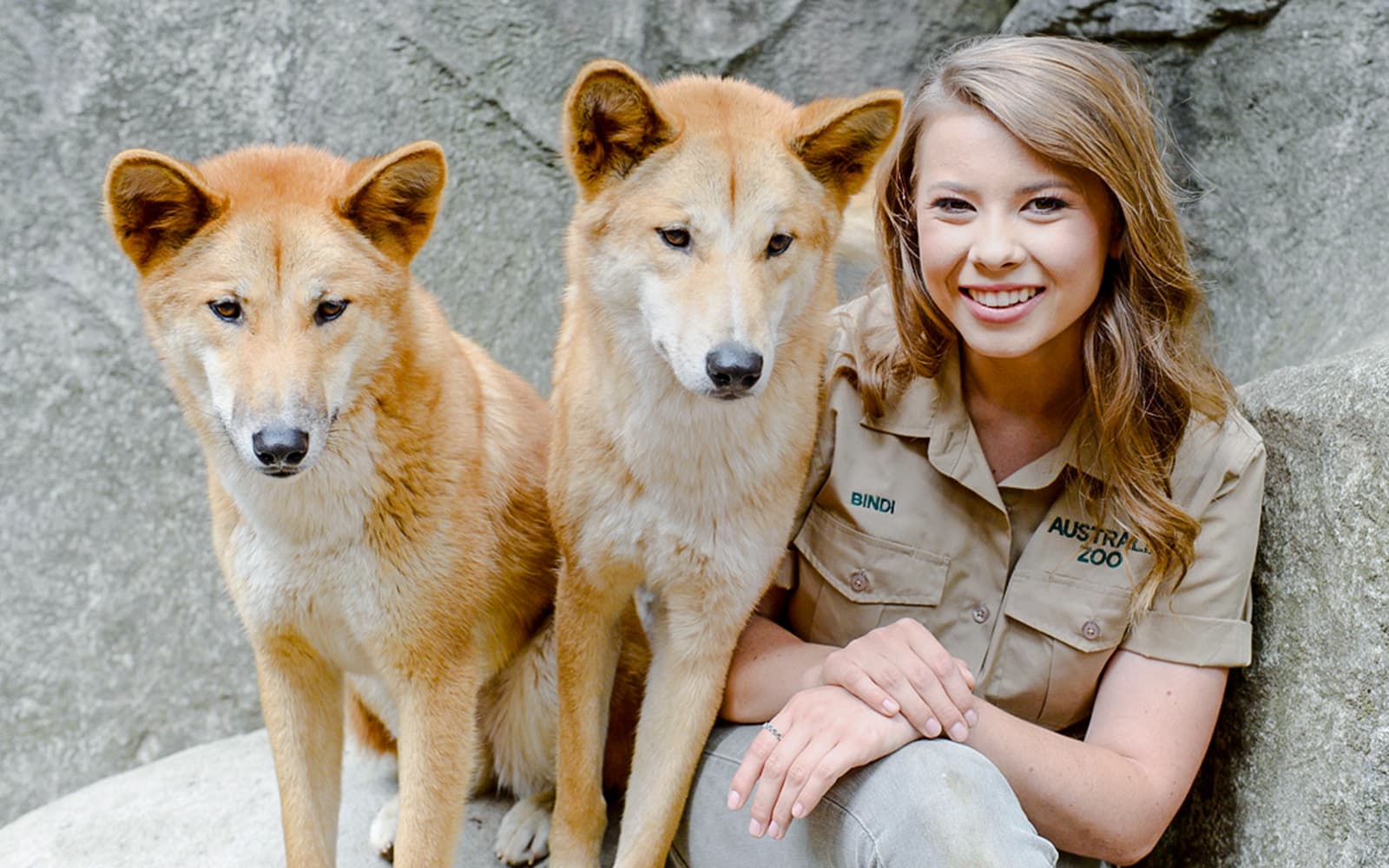 From Brisbane: Australia Zoo Tickets with Transfers in Brisbane - Activities | TickYourList