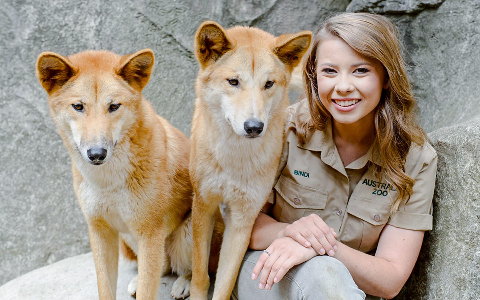 From Brisbane: Australia Zoo Tickets with Transfers in Brisbane - Activities | TickYourList