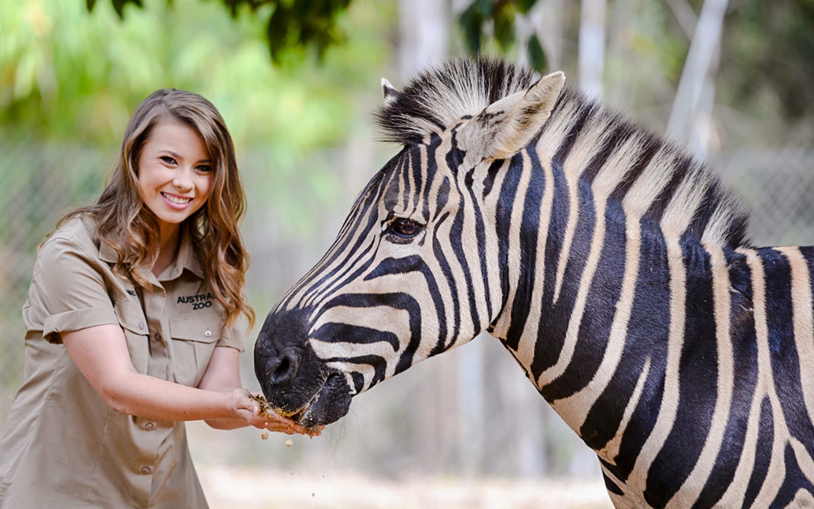 From Sunshine Coast: Australia Zoo Tickets with Transfers