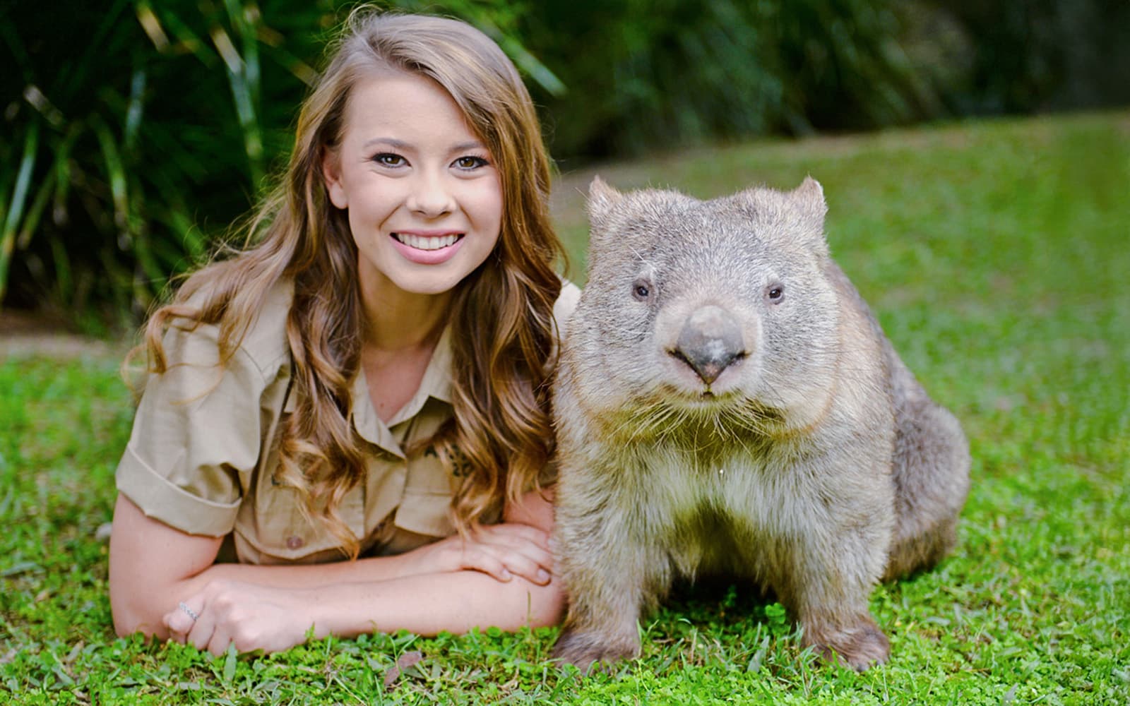 From Sunshine Coast: Australia Zoo Tickets with Transfers in Sunshine Coast - Activities | TickYourList