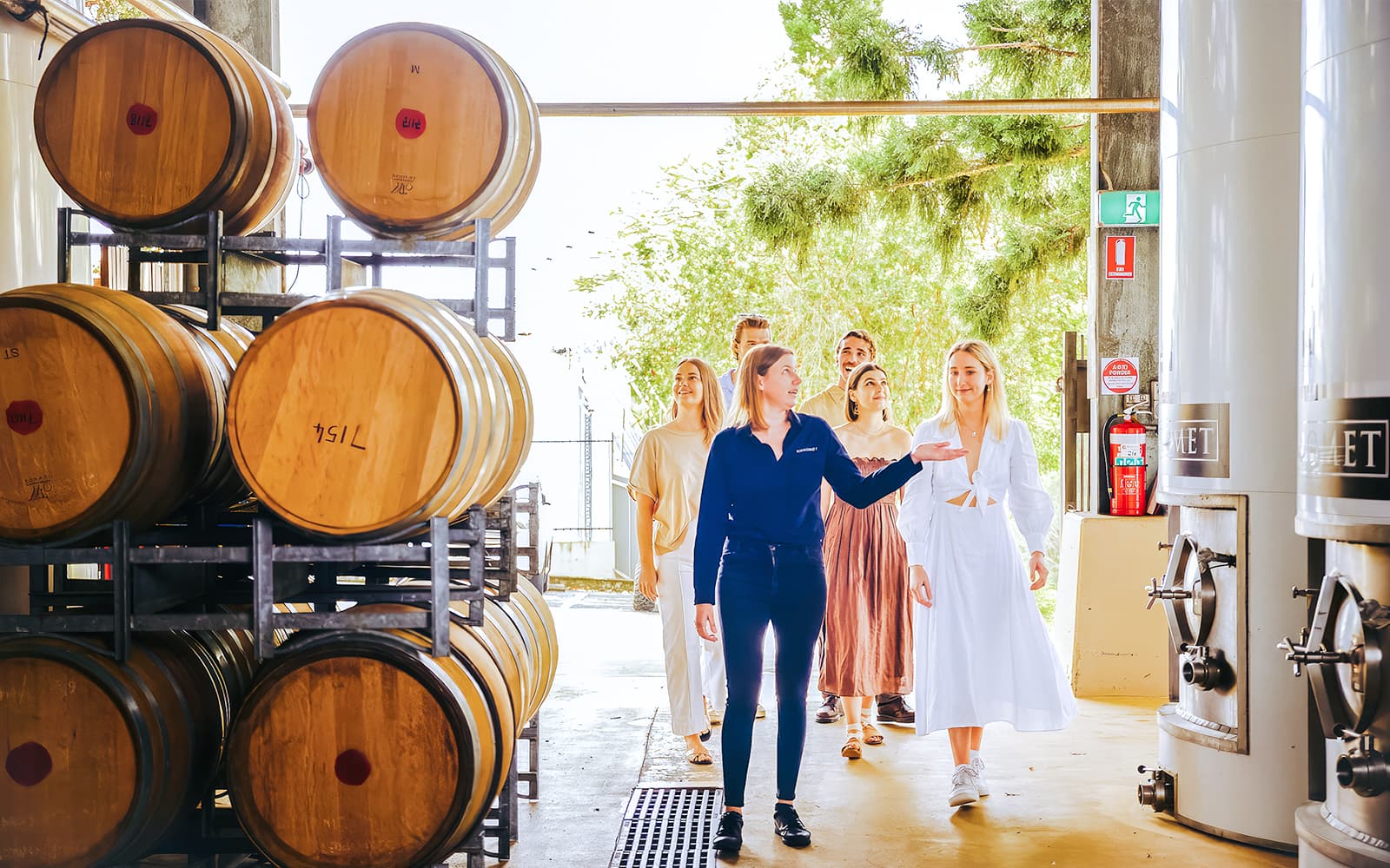 Guided Tour of Sirromet Winery with Optional Lunch
