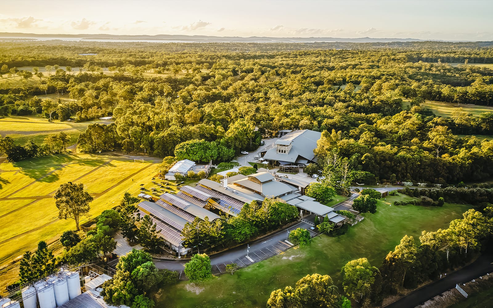 Guided Tour of Sirromet Winery with Optional Lunch tickets in Brisbane - Attractions | TickYourList