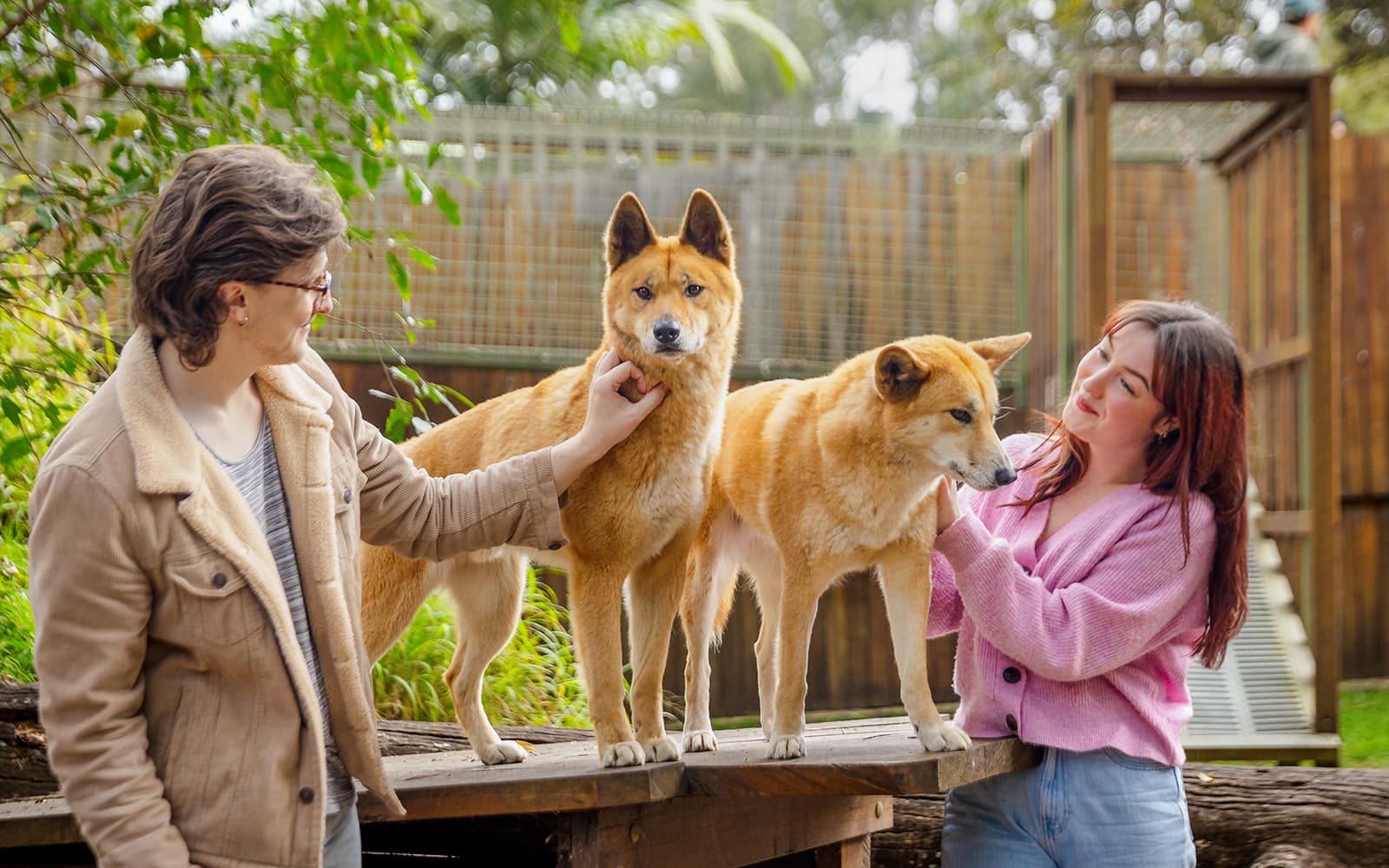 Lone Pine Koala Sanctuary Tickets in Brisbane - Features | TickYourList