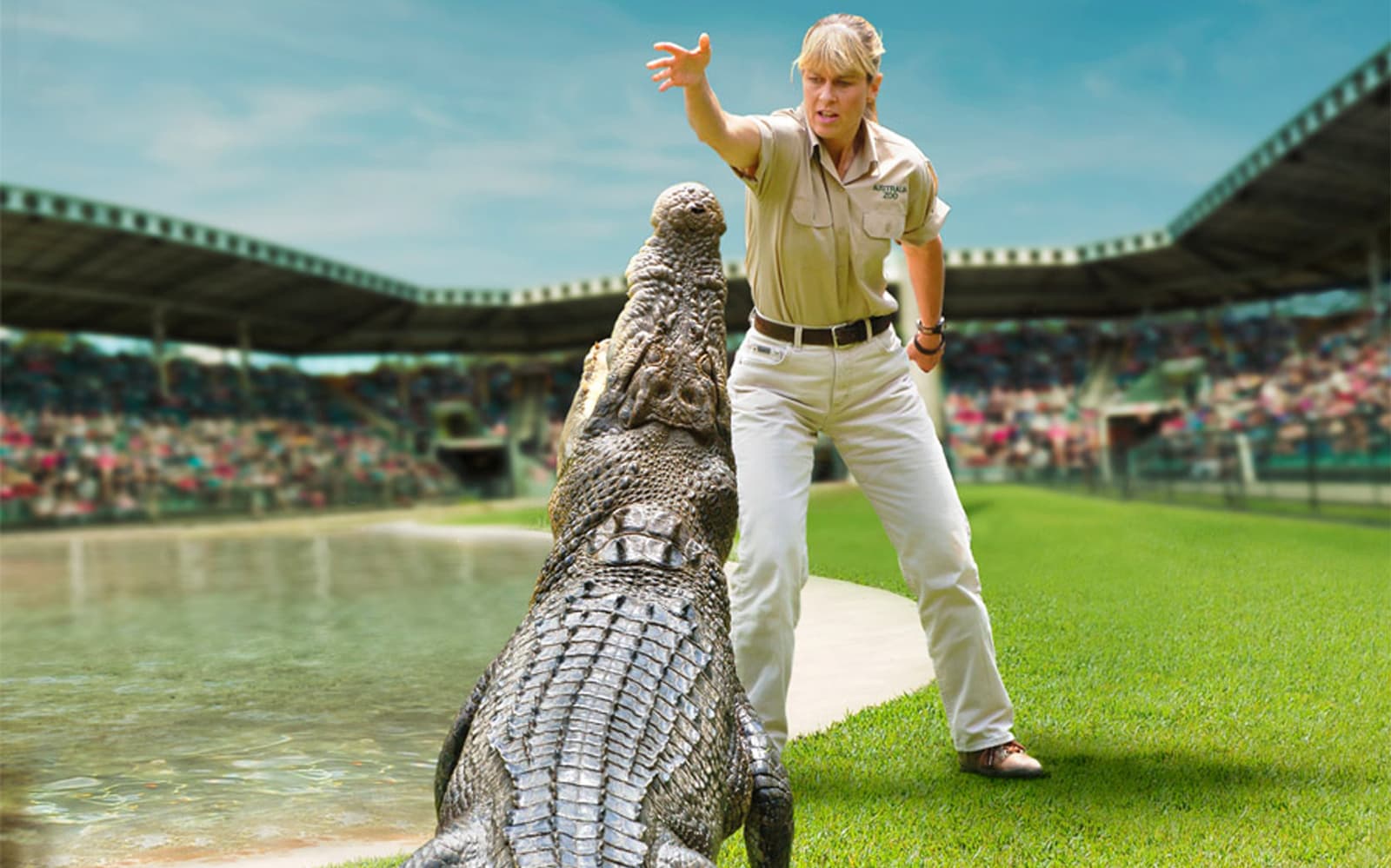 From Brisbane: Australia Zoo, Mooloolaba Beach & Surf Club Tour with Lunch & Drinks tickets in Brisbane - Attractions | TickYourList