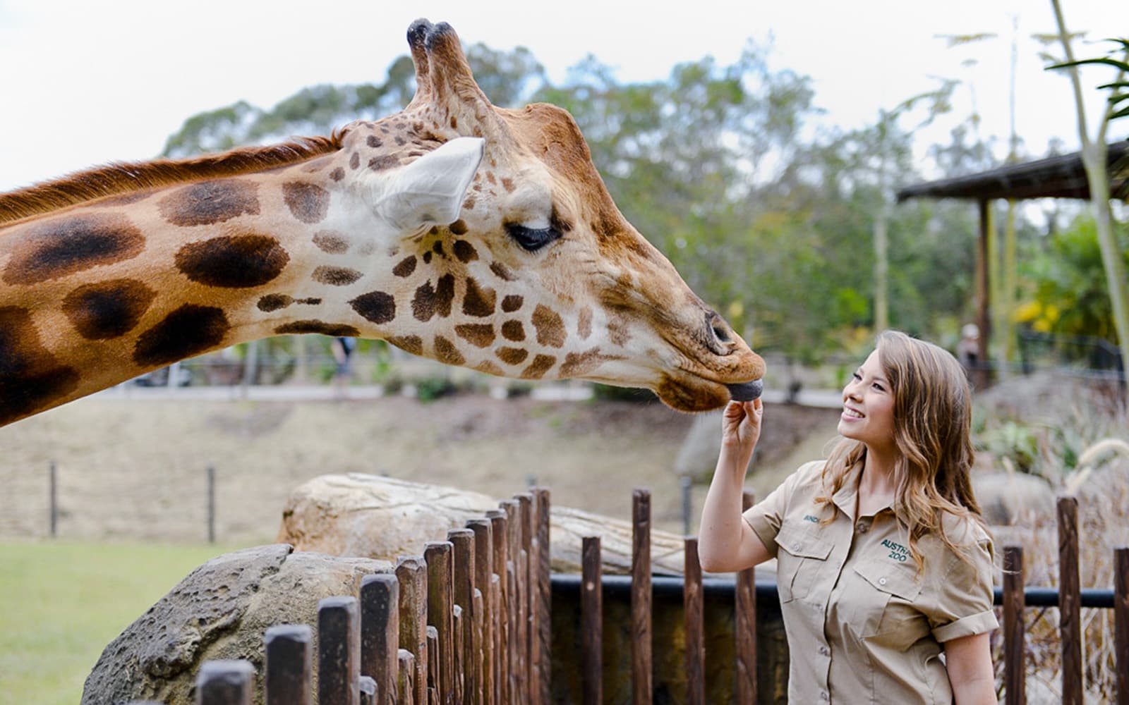 From Brisbane: Australia Zoo, Mooloolaba Beach & Surf Club Tour with Lunch & Drinks tickets in Brisbane - Activities | TickYourList