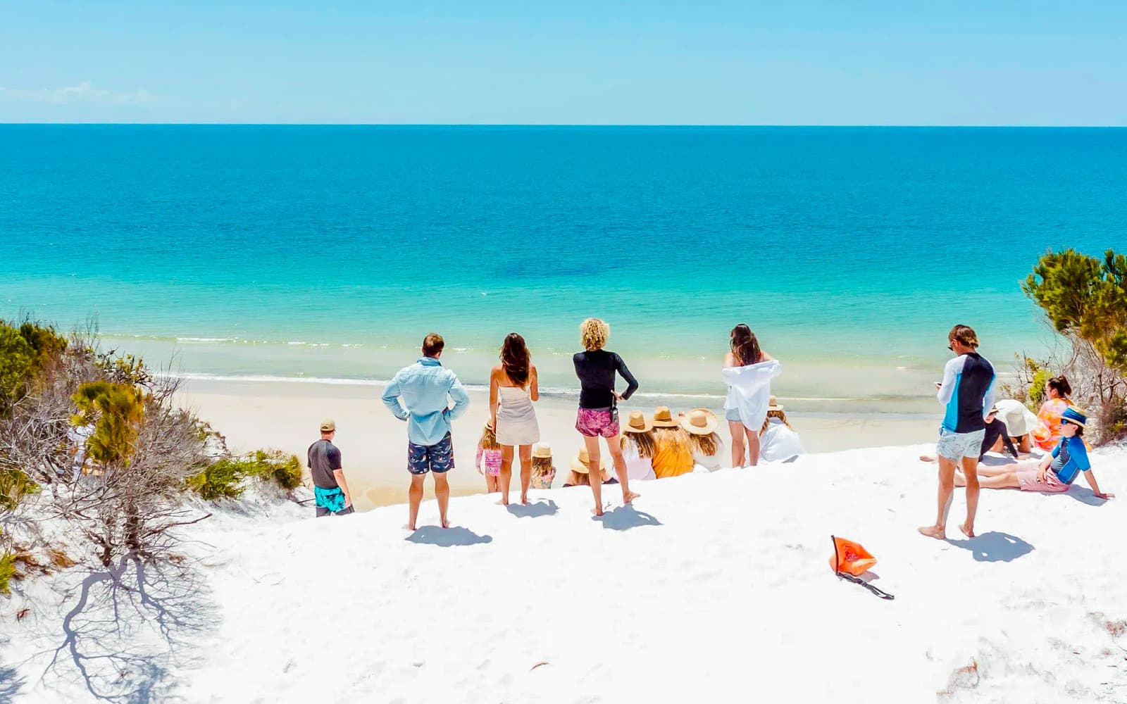 Full Day Whale Watching Cruise and Offbeat K'Gari Tour with Lunch tickets in Brisbane - Attractions | TickYourList