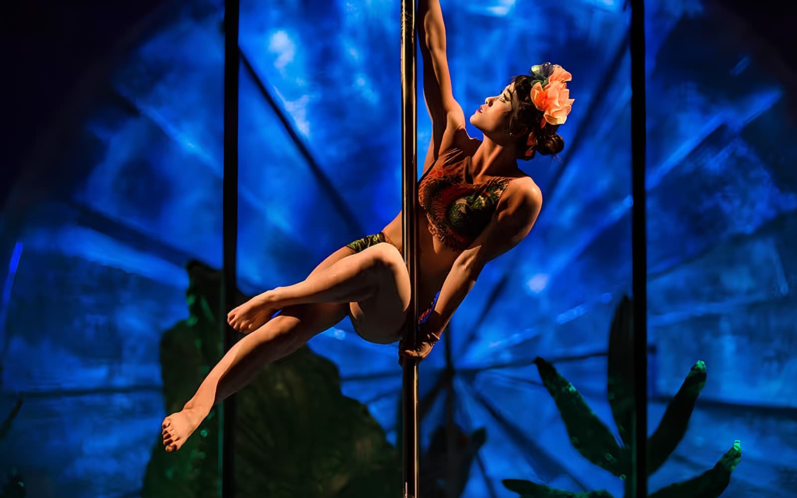 Cirque du Soleil: LUZIA Brisbane tickets in Brisbane - Activities | TickYourList